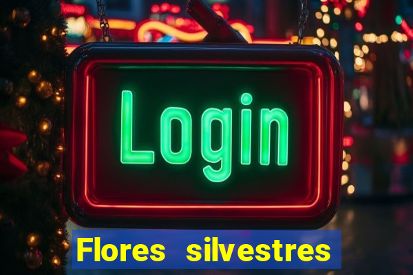 Flores silvestres brasileiras brasileiras flores silvestres nomes e imagens